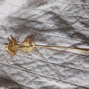 Gold Deeped Natural Rose( Eternal Rose)